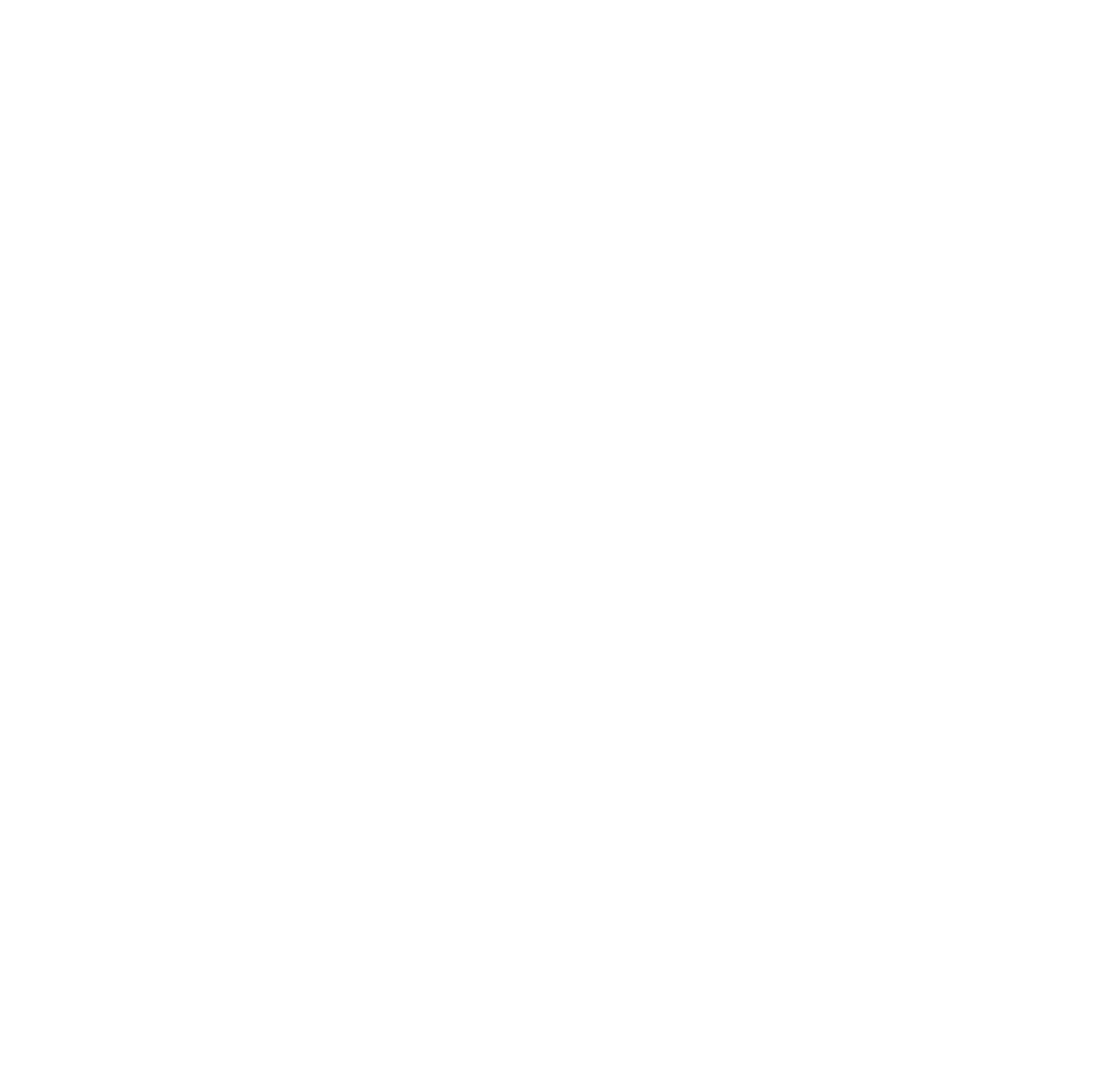 Logo Ragusa 100% branco