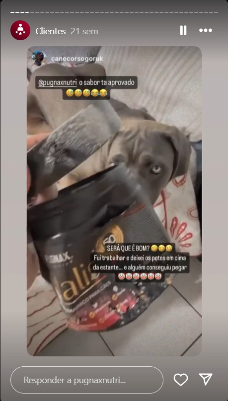 WhatsApp Image 2024-09-02 at 18.54.07