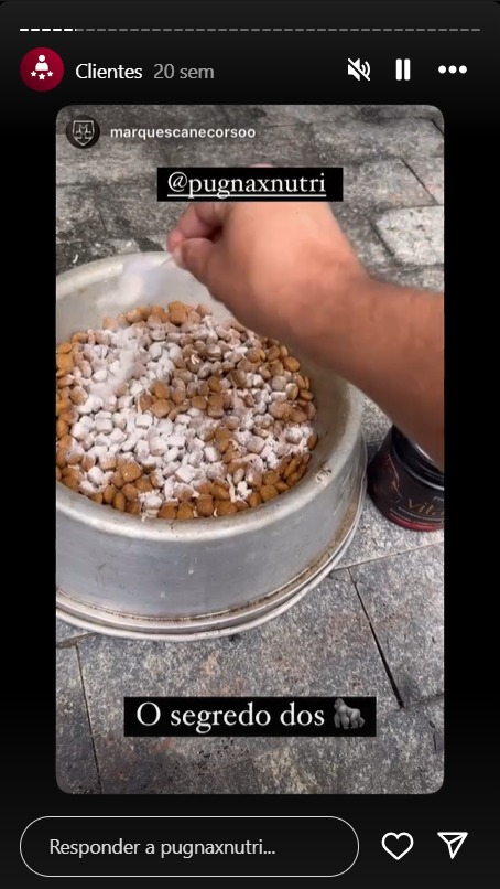 WhatsApp Image 2024-09-02 at 18.54.17