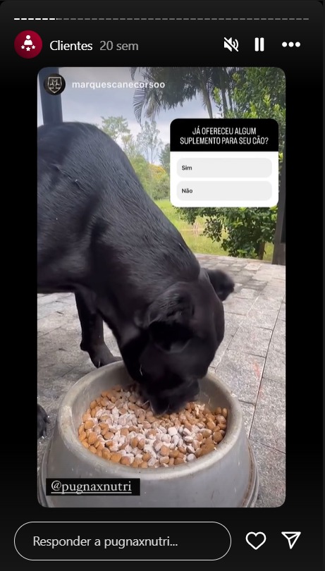 WhatsApp Image 2024-09-02 at 18.54.29