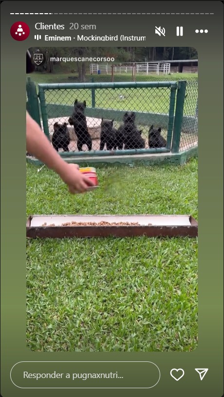 WhatsApp Image 2024-09-02 at 18.54.49