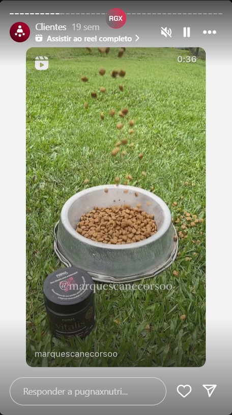 WhatsApp Image 2024-09-02 at 18.55.03