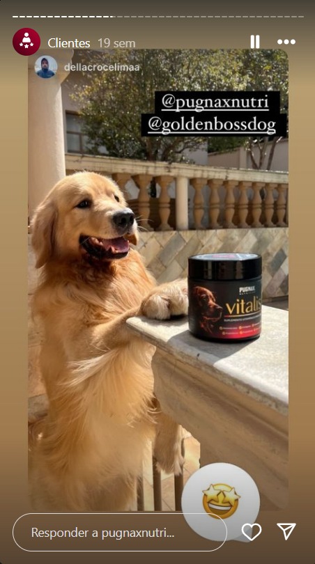 WhatsApp Image 2024-09-02 at 18.55.18