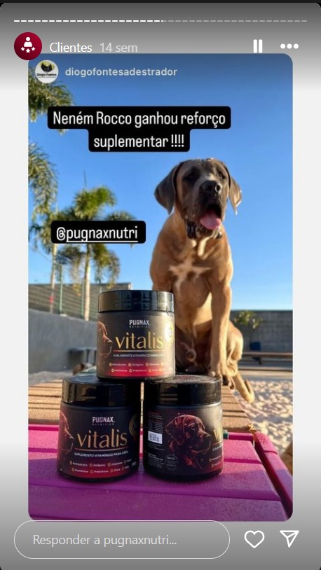 WhatsApp Image 2024-09-02 at 18.55.34