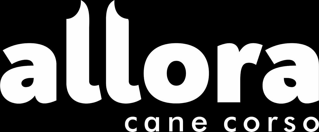 WhatsApp Image 2024-09-03 at 16.00.13